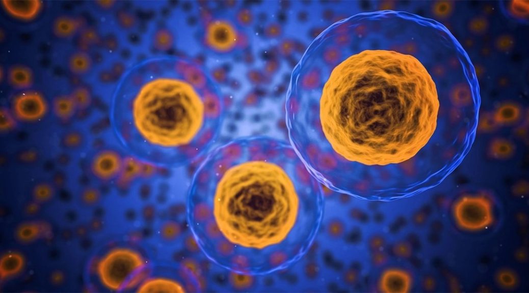 yamanaka factors cells that control cell transformation 1038x576