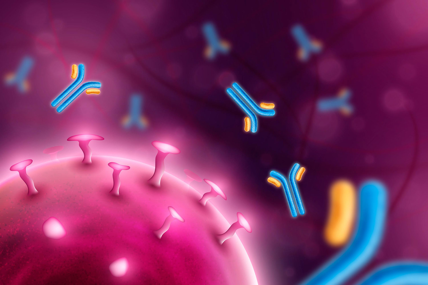 antibody visual 02