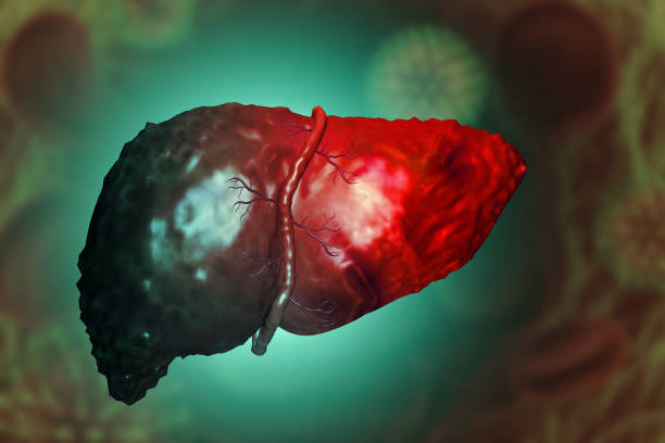 istockphoto 1553258255 612x612